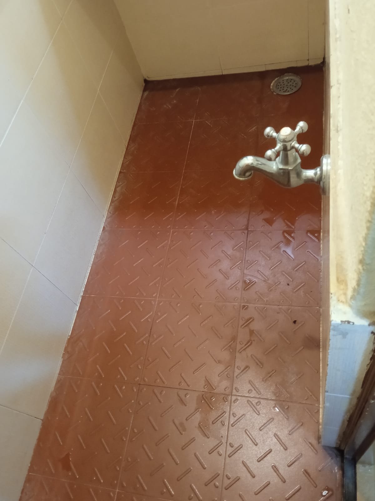 Bathroom Cleaning Job
